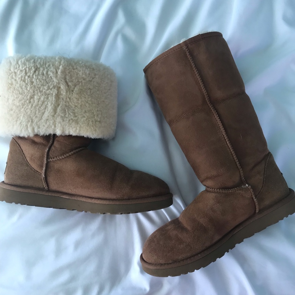 Brand New Tall Chestnut Uggs